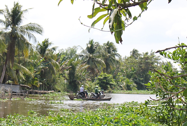 Một cây cầu – nhịp nối hai bờ kênh và những tấm lòng- Ảnh 1.