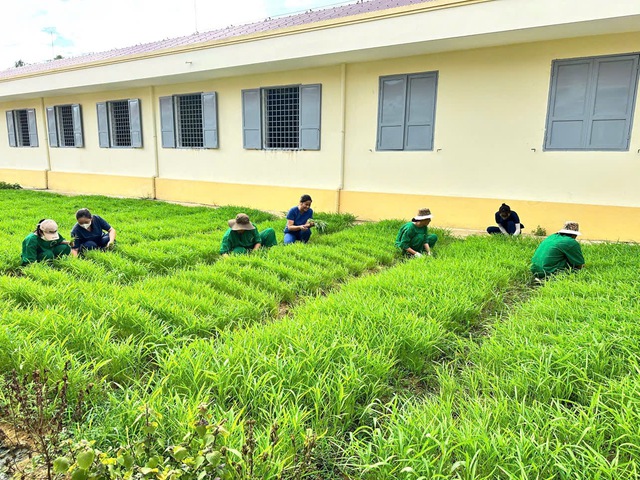 Ngày lễ 8/3 của những bệnh nhân mắc bệnh tâm thần- Ảnh 2.