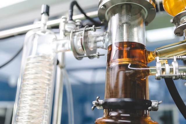 Cơ chế 3 trong 1 của chiết xuất thường xuân trong hỗ trợ giảm ho, tiêu đờm- Ảnh 2.