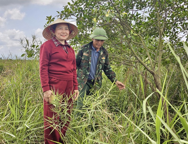 Từ 'sát thủ chim trời' thành người giữ hồn đầm phá Hạc Hải- Ảnh 3.