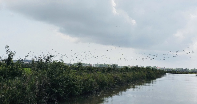 Từ 'sát thủ chim trời' thành người giữ hồn đầm phá Hạc Hải- Ảnh 4.