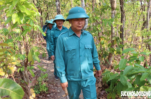 Khánh Hòa bảo vệ ‘lá phổi xanh’, phòng chống cháy rừng cấp 5- Ảnh 2.
