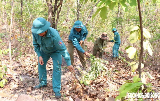 Khánh Hòa bảo vệ ‘lá phổi xanh’, phòng chống cháy rừng cấp 5- Ảnh 1.