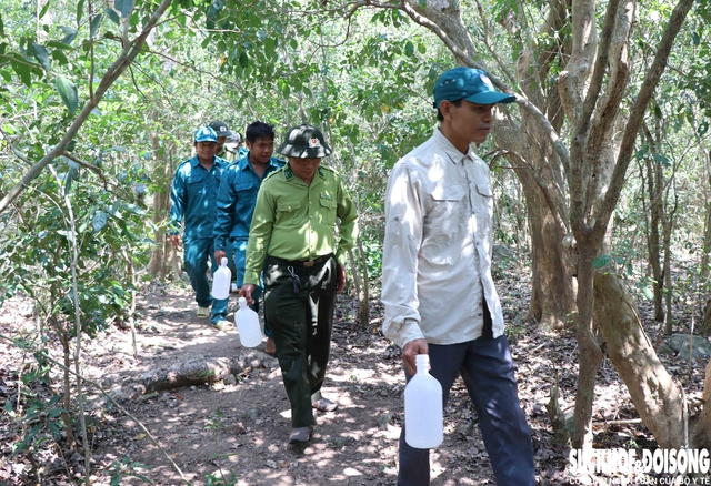 Khánh Hòa bảo vệ ‘lá phổi xanh’, phòng chống cháy rừng cấp 5- Ảnh 4.