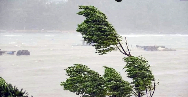 Khả năng xuất hiện bão mạnh trong mùa mưa bão năm nay thế nào?- Ảnh 1.