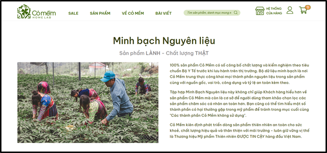 'Minh bạch' trở thành tiêu chuẩn mới của mỹ phẩm Việt Nam- Ảnh 2.