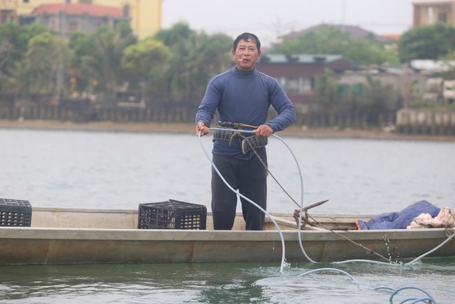 Nghề 'săn' đặc sản dưới đáy sông Nhật Lệ- Ảnh 3. Nghề 'săn' đặc sản dưới đáy sông Nhật Lệ- Ảnh 3.