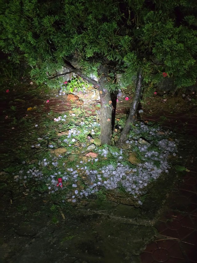 4 người bị thương, hàng trăm nhà bị hỏng do mưa đá to như cái chén ở Lào Cai- Ảnh 2. 4 người bị thương, hàng trăm nhà bị hỏng do mưa đá to như cái chén ở Lào Cai- Ảnh 2.