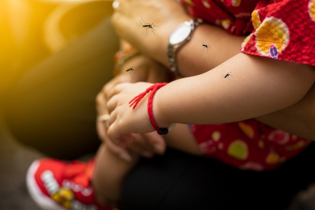 Sốt xuất huyết Dengue tại miền Trung - Tây Nguyên: Không chỉ mùa mưa, không chừa độ tuổi- Ảnh 1.