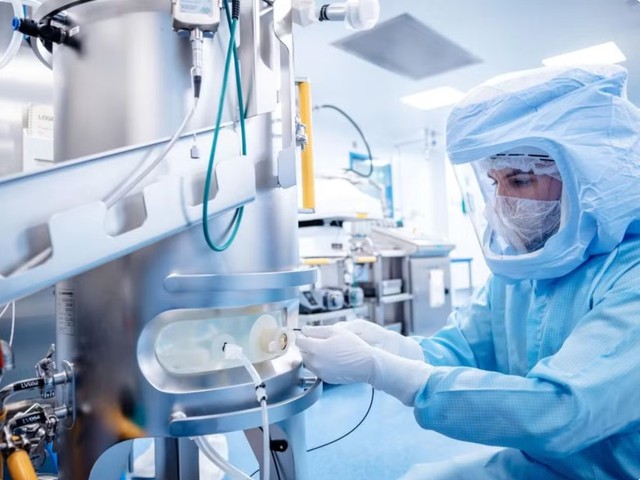 Phương pháp hỗ trợ điều trị ung thư bằng cấy ghép vi sinh đường ruột- Ảnh 1.