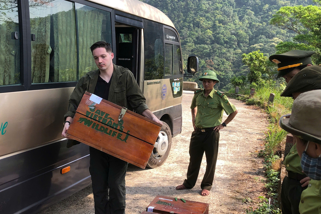 Thả 9 cá thể tê tê quý hiếm về Vườn Quốc gia Cúc Phương và Bạch Mã- Ảnh 3.