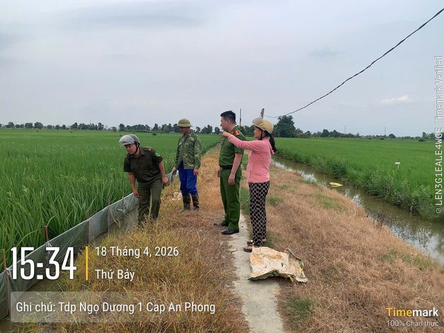 Cảnh báo nguy cơ chết người từ việc dùng điện bẫy chuột- Ảnh 1.