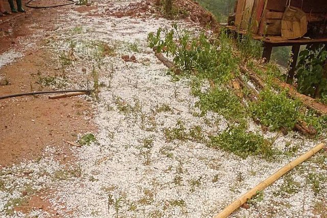 Mưa đá trắng xóa, dày đặc ở Sơn La làm hỏng hoa màu của người dân - Ảnh 3.