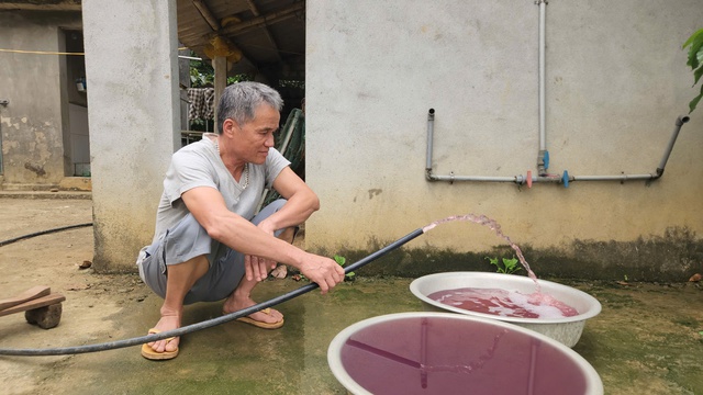 Truy tìm nguyên nhân nguồn nước sinh hoạt đổi màu tím, bốc mùi tanh hôi- Ảnh 2.