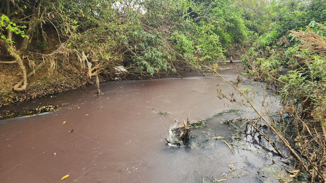 Truy tìm nguyên nhân nguồn nước sinh hoạt đổi màu tím, bốc mùi tanh hôi- Ảnh 3.