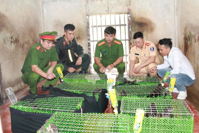 Ẩn mình trên mạng xã hội, đường dây buôn động vật quý hiếm vẫn "sa lưới"- Ảnh 1.