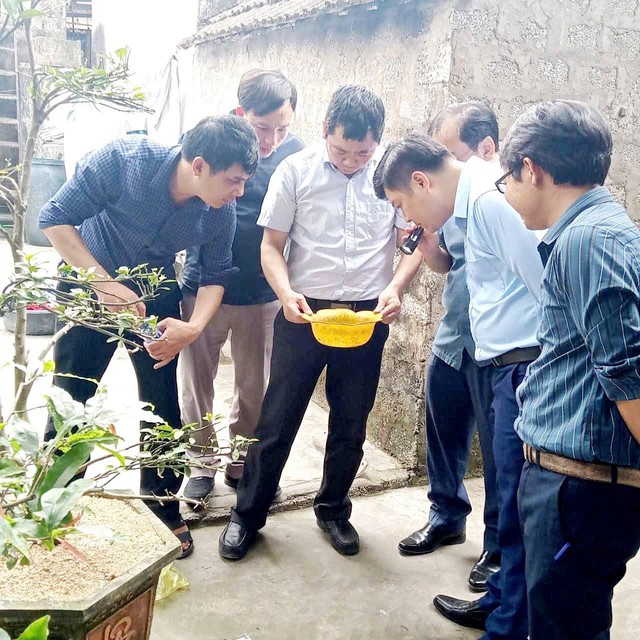 Siết chặt giám sát sốt xuất huyết tại Nghệ An trước mùa dịch
- Ảnh 1.