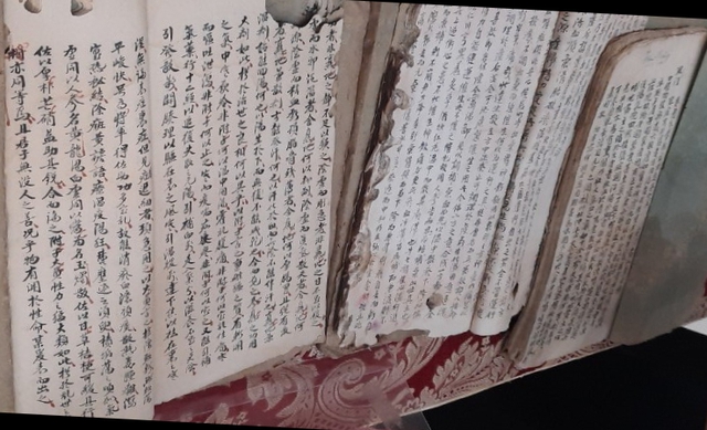 'Quỳ viên gia học' – viên ngọc quý của Đông y Việt Nam- Ảnh 4.