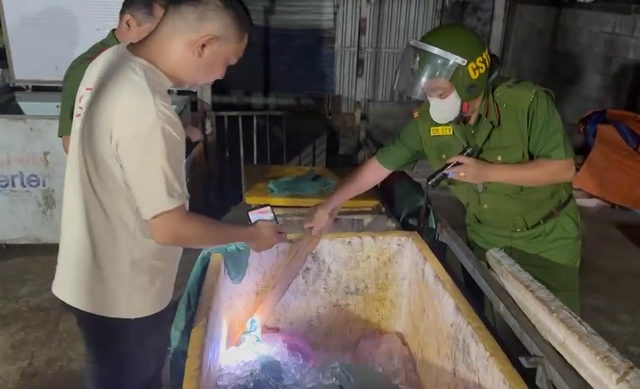 Phát hiện hơn 500kg thịt lợn hư hỏng, bốc mùi tại cơ sở giết mổ 'chui'- Ảnh 1.