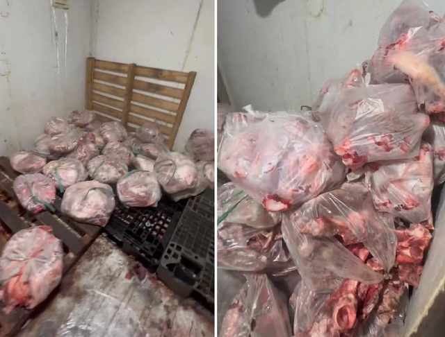 Phát hiện hơn 500kg thịt lợn hư hỏng, bốc mùi tại cơ sở giết mổ 'chui'- Ảnh 2.
