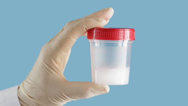 3 lợi ích bất ngờ của tinh dịch đối với sức khỏe phụ nữ- Ảnh 1.