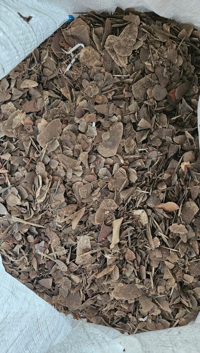 Buôn bán gần 900kg vảy tê tê cực kỳ quý hiếm, lĩnh án 8 năm tù- Ảnh 2.