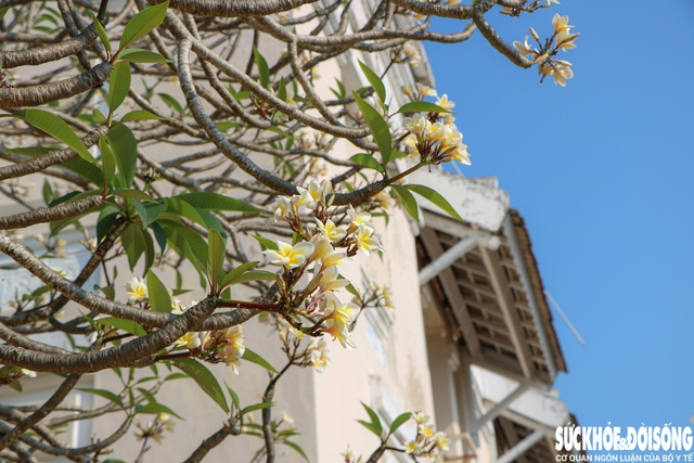 Di tích Lầu Bảo Đại ở Khánh Hòa mở cửa đón khách du lịch trở lại- Ảnh 2.