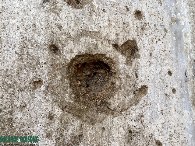 Cận cảnh giáo đường là chứng tích của ‘mùa Hè đỏ lửa’ hơn 50 năm trước- Ảnh 9.