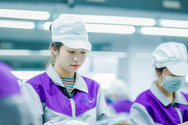 Quy định mới nhất về việc miễn, giảm, dừng đóng kinh phí công đoàn- Ảnh 1.