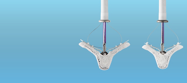 Abbott và vai trò công nghệ trong quản lý sức khỏe chủ động tại Việt Nam- Ảnh 2.