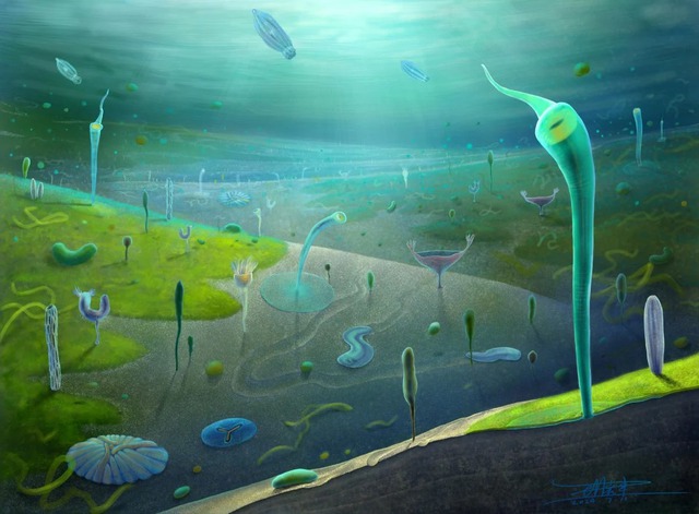 Phát hiện hóa thạch có thể hé lộ tổ tiên thật sự của loài người- Ảnh 3.