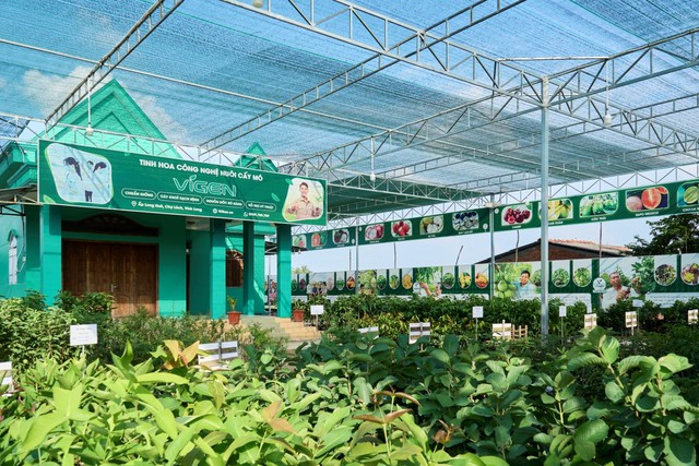 Cây giống ViGen - Khát vọng nâng tầm giá trị nông sản Việt bằng công nghệ sinh học 4.0- Ảnh 2. Cây giống ViGen - Khát vọng nâng tầm giá trị nông sản Việt bằng công nghệ sinh học 4.0- Ảnh 2.