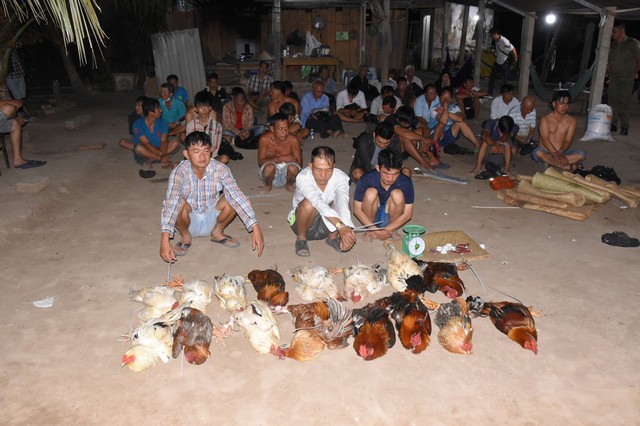 Phá sới đá gà ăn tiền, tạm giữ 35 người- Ảnh 1.