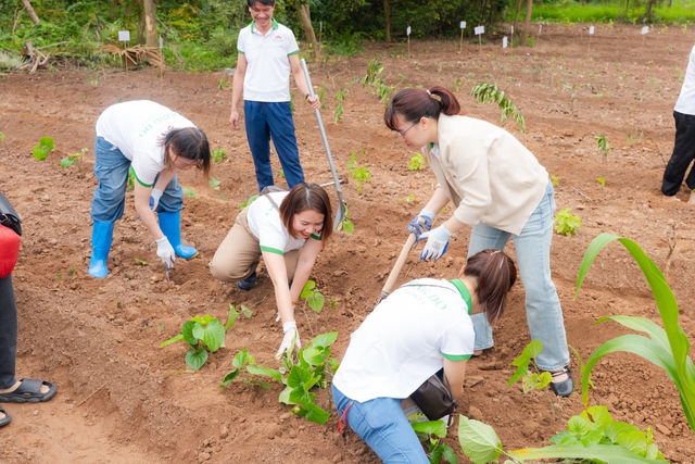 Sống chậm trong không gian xanh ở Vườn thực vật Hà Nội- Ảnh 3. Sống chậm trong không gian xanh ở Vườn thực vật Hà Nội- Ảnh 3.