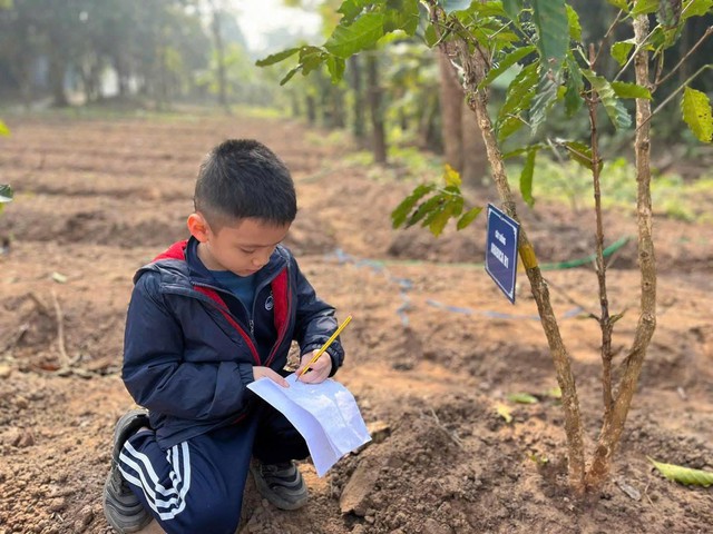 Sống chậm trong không gian xanh ở Vườn thực vật Hà Nội- Ảnh 5. Sống chậm trong không gian xanh ở Vườn thực vật Hà Nội- Ảnh 5.