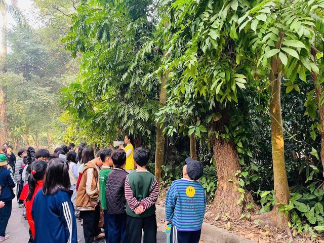 Sống chậm trong không gian xanh ở Vườn thực vật Hà Nội- Ảnh 9. Sống chậm trong không gian xanh ở Vườn thực vật Hà Nội- Ảnh 9.