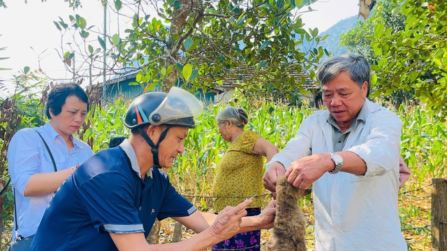 Đẩy mạnh các biện pháp phòng, chống khi bệnh dại vào mùa- Ảnh 4.