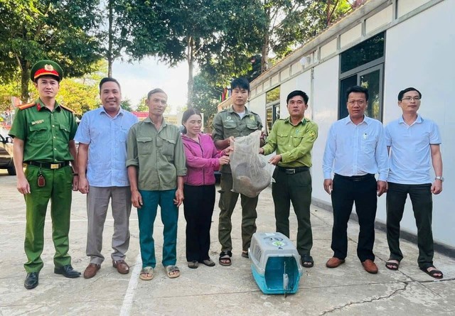Phát hiện động vật quý hiếm trên rẫy, cả nhà mang nộp cho công an- Ảnh 1.