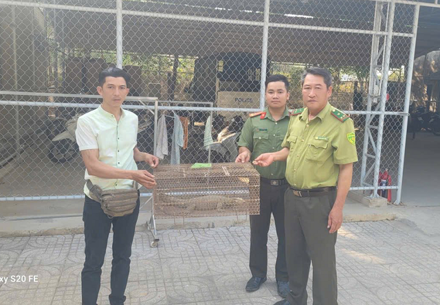 Phát hiện động vật quý hiếm trên rẫy, cả nhà mang nộp cho công an- Ảnh 2.