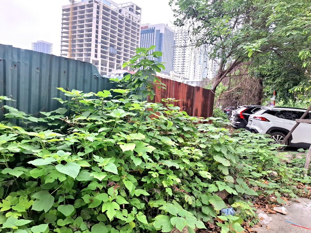 Cận cảnh công viên hồ điều hòa trên 'đất vàng' giữa Thủ đô bị bỏ hoang suốt 16 năm- Ảnh 2.