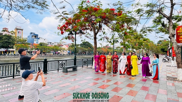 Tháng 5, về Hải Phòng check-in hoa phượng đỏ- Ảnh 2. Tháng 5, về Hải Phòng check-in hoa phượng đỏ- Ảnh 2.