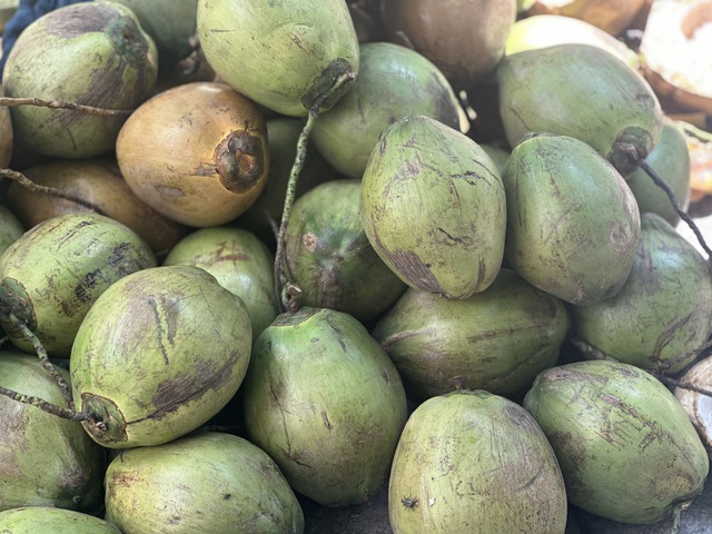 Uống nước dừa mỗi ngày cần biết điều này- Ảnh 1.