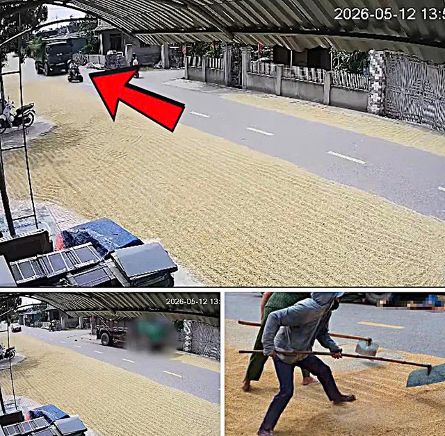 Sau vụ tai nạn 2 người chết: Cục CSGT cảnh báo hành vi phơi thóc lúa trên đường- Ảnh 3. Sau vụ tai nạn 2 người chết: Cục CSGT cảnh báo hành vi phơi thóc lúa trên đường- Ảnh 3.