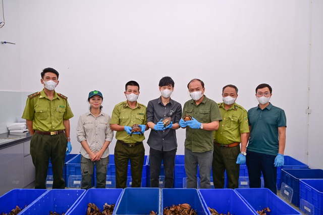 Vườn quốc gia Cúc Phương tiếp nhận lô rùa quý hiếm hồi hương từ Hàn Quốc- Ảnh 1.