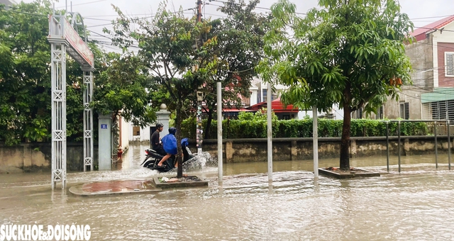 Hải Phòng cảnh báo ngập lụt cấp độ 1- Ảnh 3.