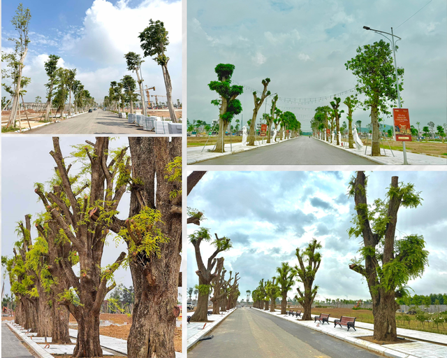 Danko Riverside - Sức hút từ một đô thị hiện hữu giữa tâm điểm phát triển Bắc Ninh- Ảnh 2. Danko Riverside - Sức hút từ một đô thị hiện hữu giữa tâm điểm phát triển Bắc Ninh- Ảnh 2.