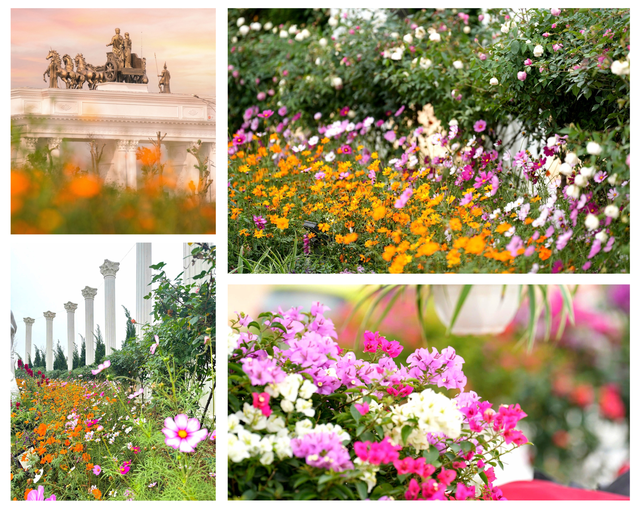 Danko Riverside - Sức hút từ một đô thị hiện hữu giữa tâm điểm phát triển Bắc Ninh- Ảnh 3. Danko Riverside - Sức hút từ một đô thị hiện hữu giữa tâm điểm phát triển Bắc Ninh- Ảnh 3.