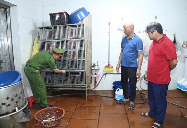 Khởi tố 3 vụ nấu cao hổ, giết mổ chim hoang dã ở Bắc Ninh- Ảnh 3.