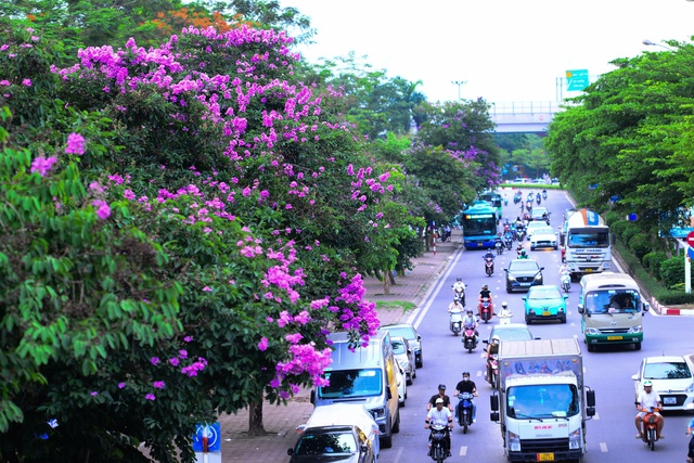 Nắng nóng gia tăng mạnh, miền Bắc và Trung Bộ có nơi vượt 38 độ C- Ảnh 1. Nắng nóng gia tăng mạnh, miền Bắc và Trung Bộ có nơi vượt 38 độ C- Ảnh 1.