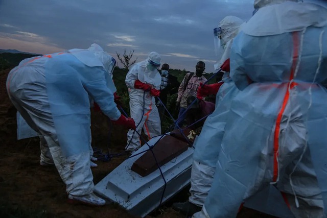 Cảnh báo về dịch Ebola của cựu Giám đốc CDC Mỹ- Ảnh 3. Cảnh báo về dịch Ebola của cựu Giám đốc CDC Mỹ- Ảnh 3.